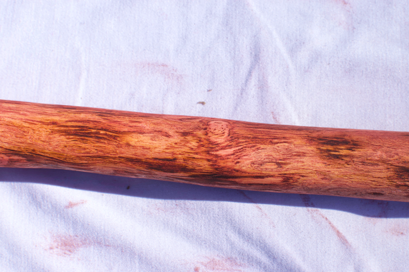 Illustration for article titled made a walking stick